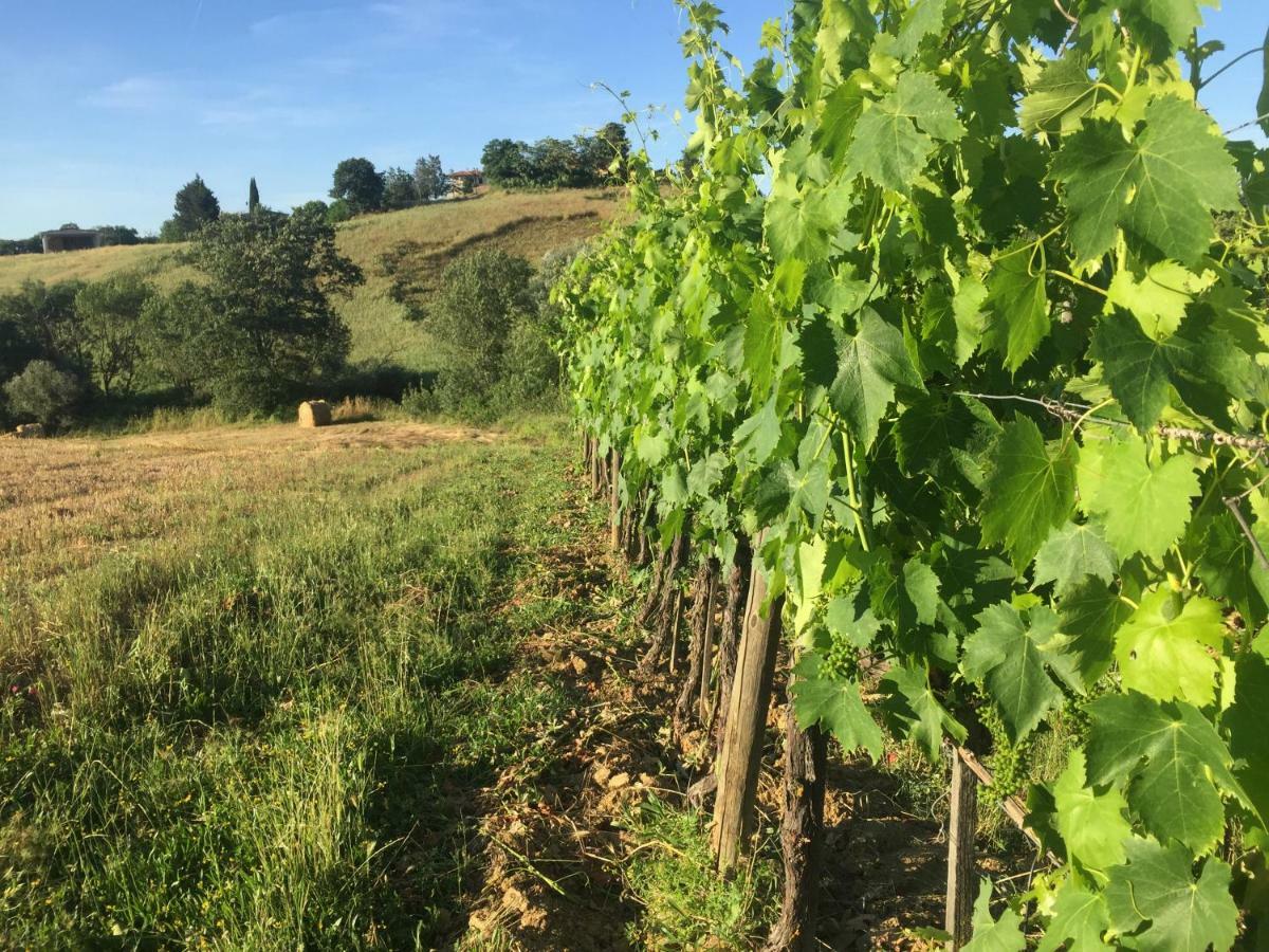 Poggio Alla Pietra 26 Porrona Εξωτερικό φωτογραφία